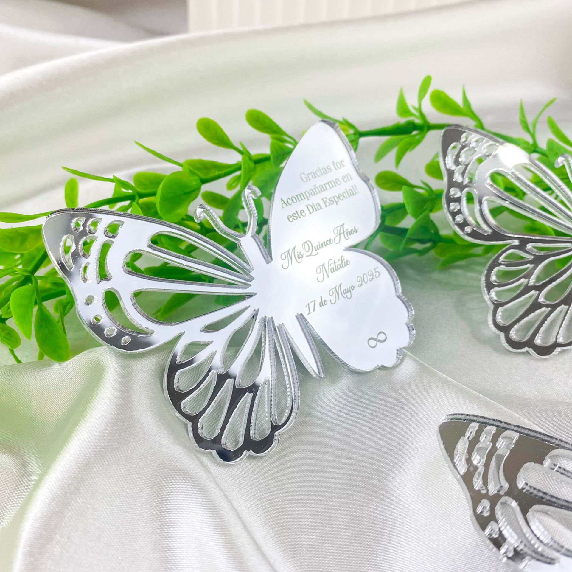 Gümüş Renk Pleksi Kelebek magnet