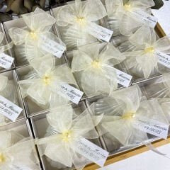 Dekoratif İstiridye Mum Hediyelik