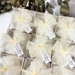 Dekoratif İstiridye Mum Hediyelik